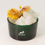 Crystal Aroma Set — The Lion